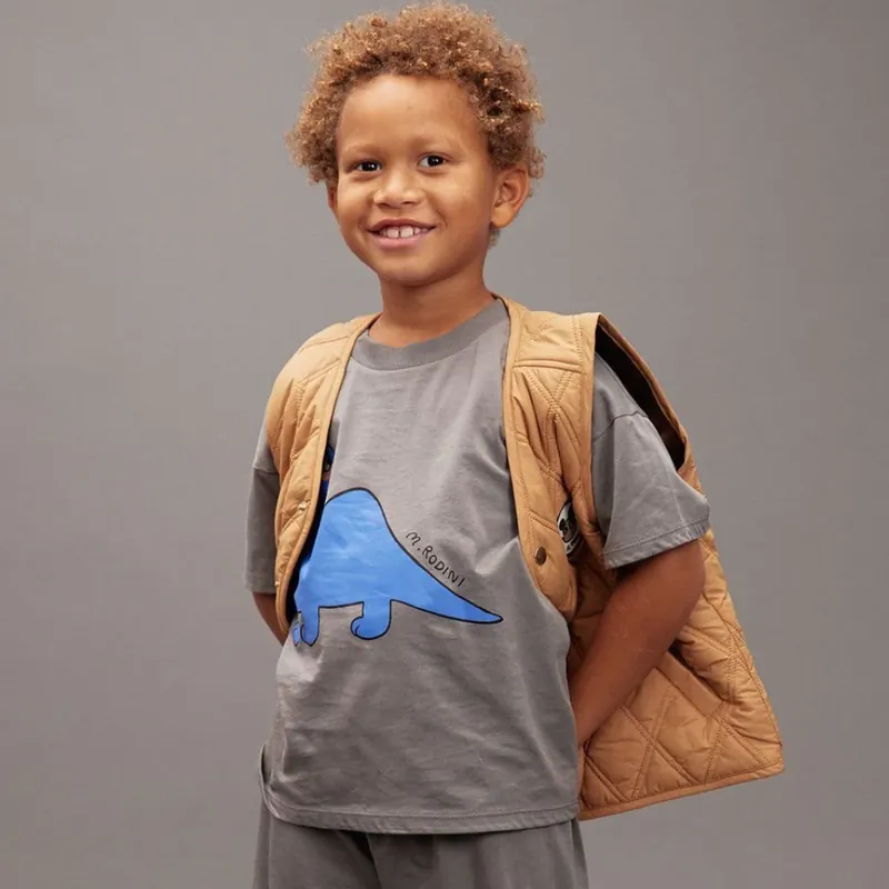Mini Rodini Barn-T-shirt Dino Grå Nyhet