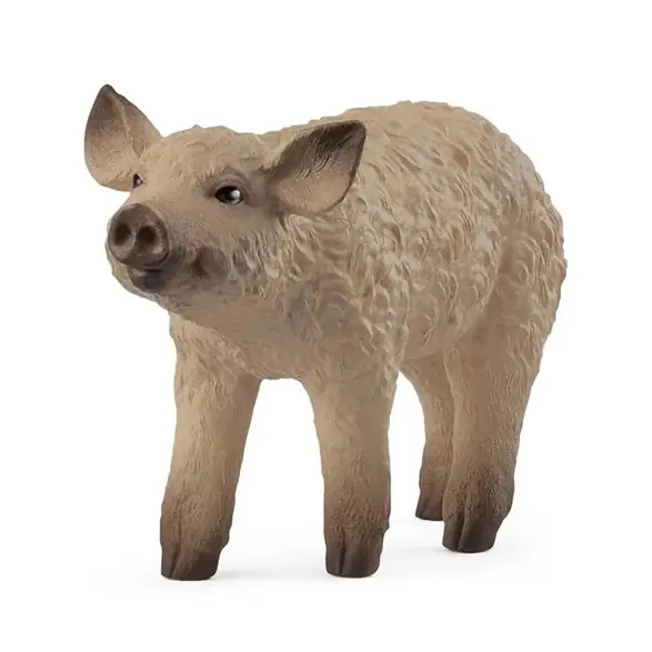 Premium Mangalica kulting