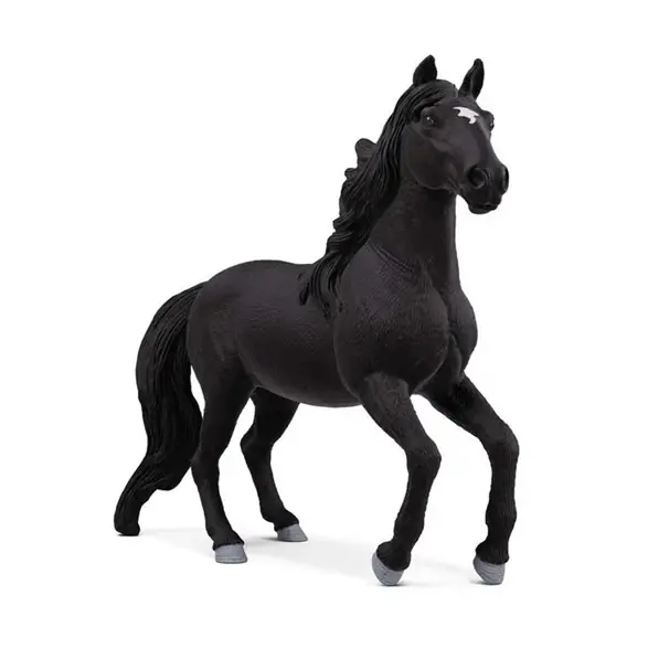 Säker betalning Lusitano hingst
