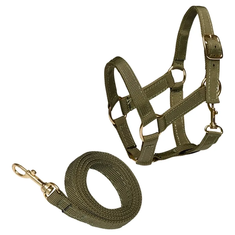 Bästa pris Cheval Roi Grimma och Grimskaft Sage Green