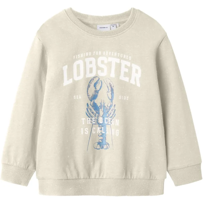 Begränsat antal Name It Peyote Fabian Regular Sweatshirt