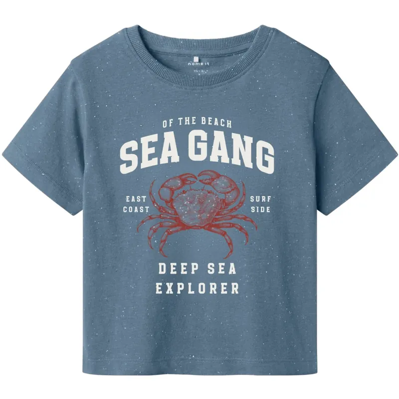 Billigare Name It Spring Lake Fabi Regular T-Shirt
