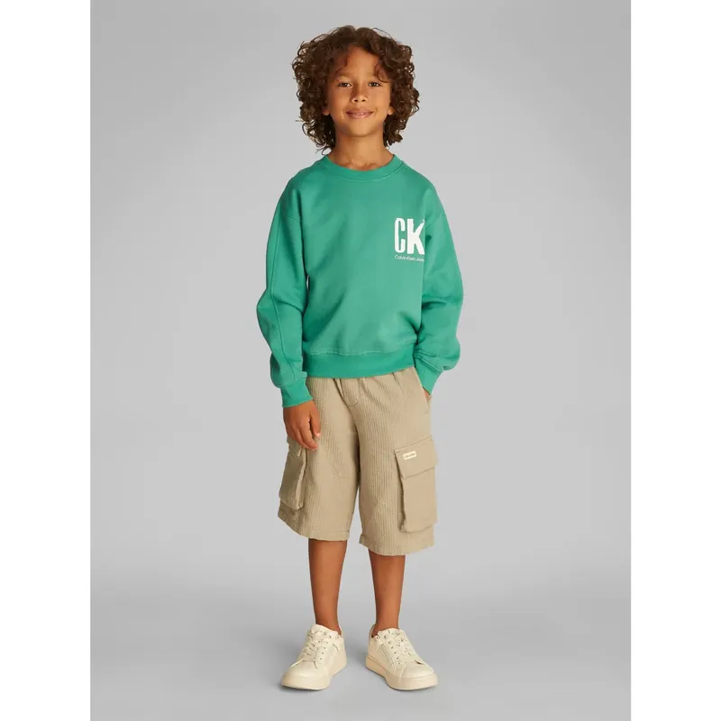 Calvin Klein Bahama Green Summer Backprint Cn Hoodies Endast idag