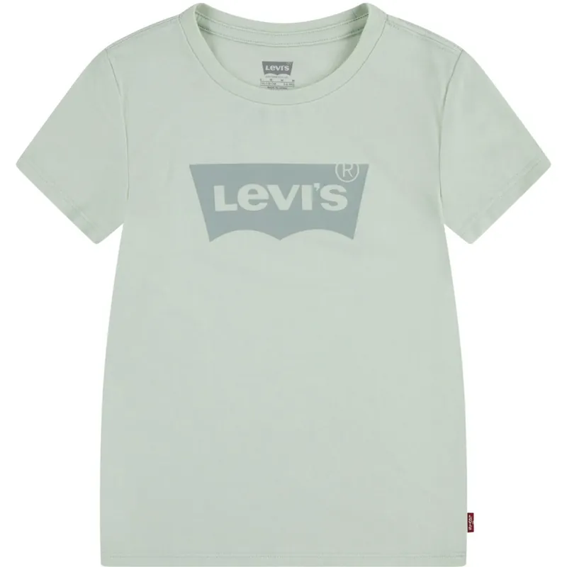 Endast idag Levi‘s Celadon Lvg Batwing Tee