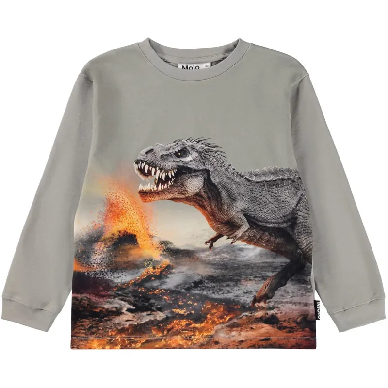 Beställ idag Molo Dinosaur Fog Rube Blus