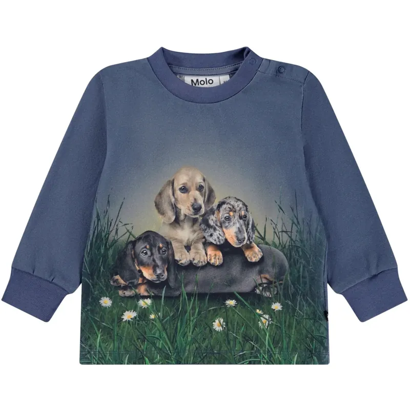 Erbjudande Molo Dachshund Cubs Eloy Blus