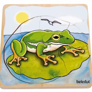 Lägg pussel- Grodans livscykel Fynd
