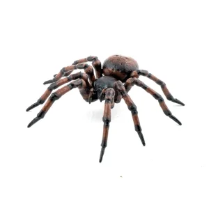 Husspindel - L 6,3 cm Snabb frakt