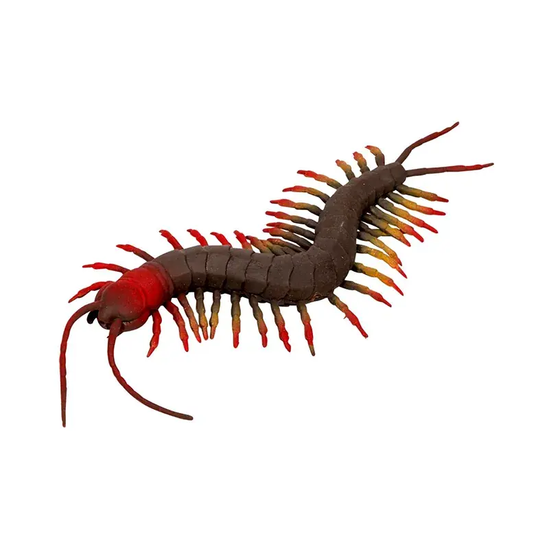 Skolopender - L 23 cm Lägg i varukorgen